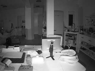 voyeurcam-celticiron-02