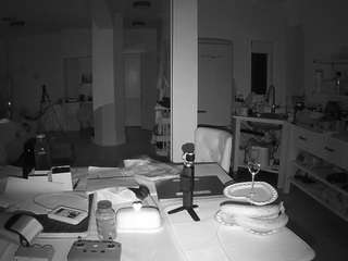 voyeurcam-celticiron-02