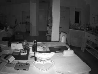 voyeurcam-celticiron-02