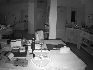 voyeurcam-celticiron-02