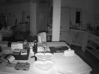 voyeurcam-celticiron-02