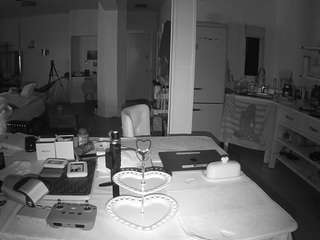 voyeurcam-celticiron-02