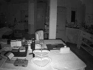 voyeurcam-celticiron-02