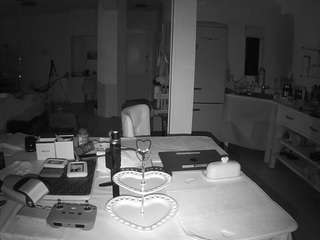 voyeurcam-celticiron-02