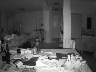 voyeurcam-celticiron-02