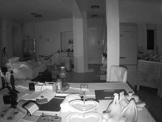 voyeurcam-celticiron-02