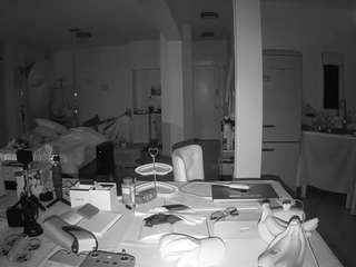 voyeurcam-celticiron-02