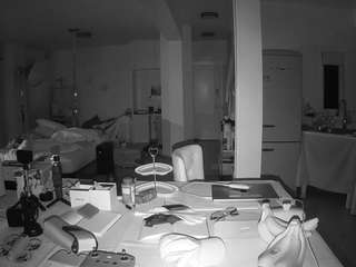 voyeurcam-celticiron-02