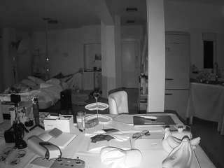 voyeurcam-celticiron-02