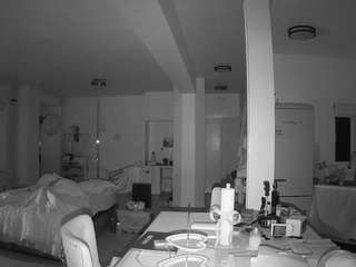 voyeurcam-celticiron-02