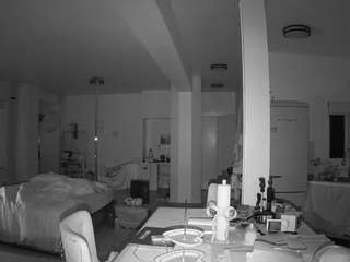 voyeurcam-celticiron-02