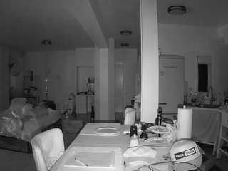 voyeurcam-celticiron-02