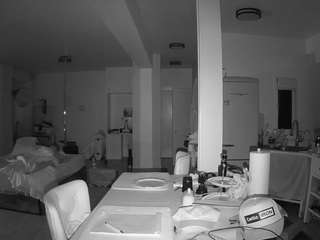 voyeurcam-celticiron-02