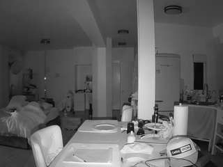 voyeurcam-celticiron-02