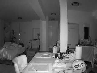 voyeurcam-celticiron-02