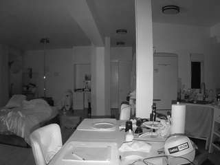 voyeurcam-celticiron-02