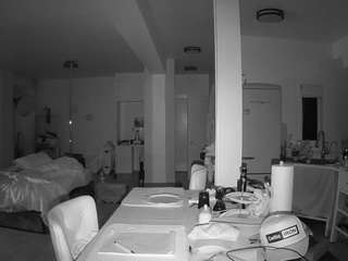 voyeurcam-celticiron-02