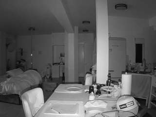 voyeurcam-celticiron-02