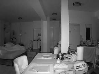 voyeurcam-celticiron-02