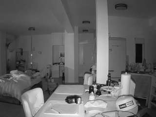 voyeurcam-celticiron-02