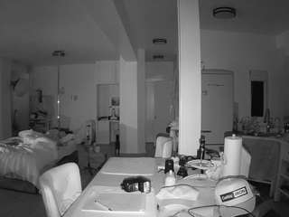 voyeurcam-celticiron-02