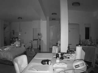 voyeurcam-celticiron-02