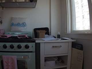 voyeurcam-celticiron-02