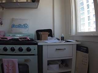 voyeurcam-celticiron-02