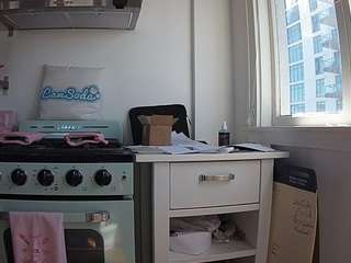 voyeurcam-celticiron-02