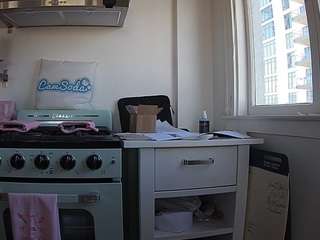 voyeurcam-celticiron-02