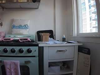 voyeurcam-celticiron-02