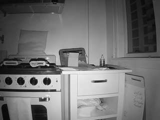 voyeurcam-celticiron-02