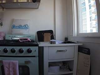 voyeurcam-celticiron-02