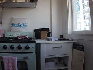 voyeurcam-celticiron-02