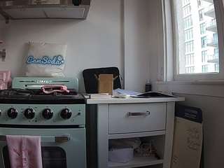 voyeurcam-celticiron-02