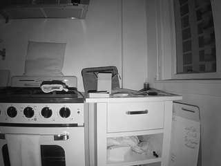 voyeurcam-celticiron-02