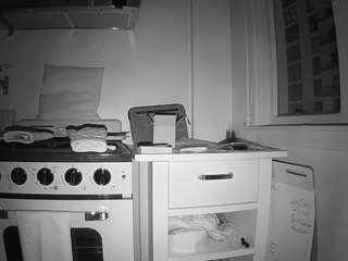 voyeurcam-celticiron-02