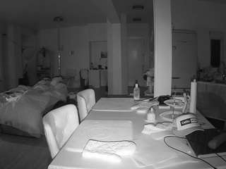 voyeurcam-celticiron-02