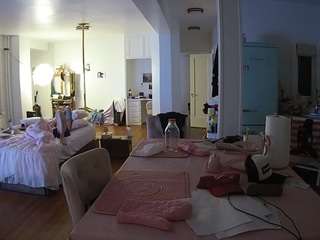 voyeurcam-celticiron-02