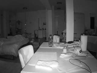 voyeurcam-celticiron-02