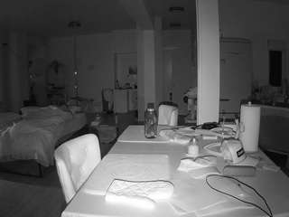 voyeurcam-celticiron-02