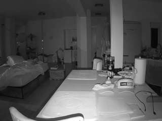 voyeurcam-celticiron-02