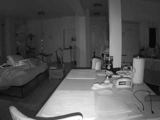 voyeurcam-celticiron-02