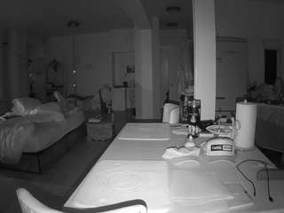 voyeurcam-celticiron-02