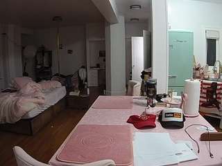 voyeurcam-celticiron-02