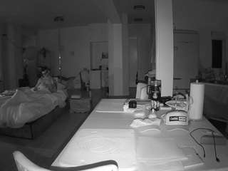 voyeurcam-celticiron-02