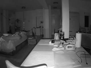 voyeurcam-celticiron-02