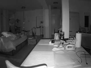 voyeurcam-celticiron-02