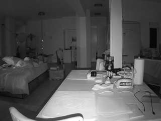 voyeurcam-celticiron-02