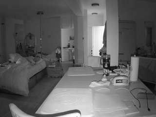 voyeurcam-celticiron-02